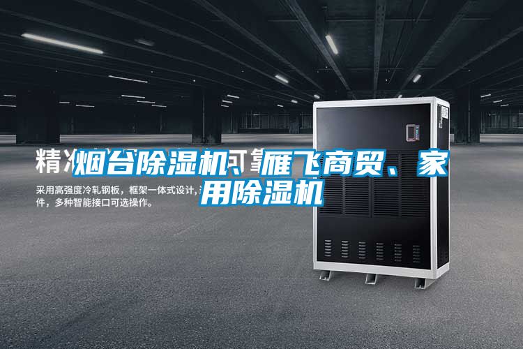 煙臺(tái)除濕機(jī)、雁飛商貿(mào)、家用除濕機(jī)