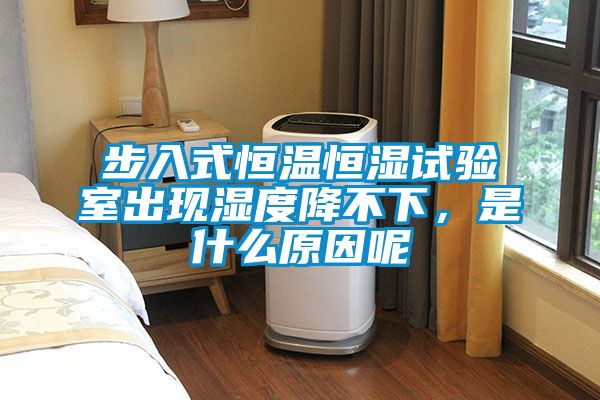 步入式恒溫恒濕試驗室出現(xiàn)濕度降不下，是什么原因呢