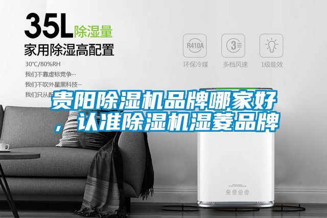 貴陽除濕機品牌哪家好，認準除濕機濕菱品牌