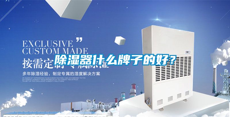 除濕器什么牌子的好？