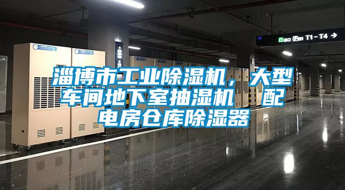 淄博市工業(yè)除濕機(jī)，大型車間地下室抽濕機(jī)  配電房倉庫除濕器