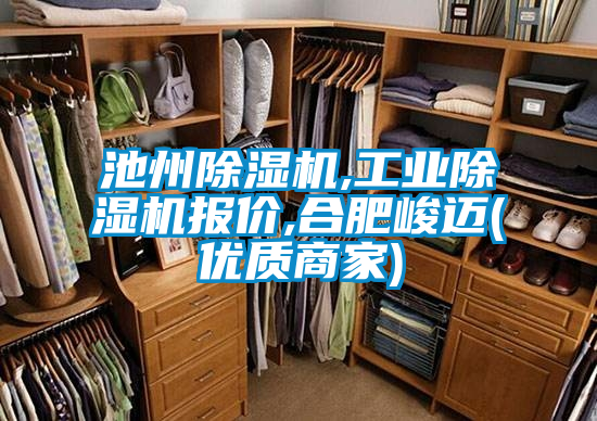 池州除濕機,工業(yè)除濕機報價,合肥峻邁(優(yōu)質(zhì)商家)