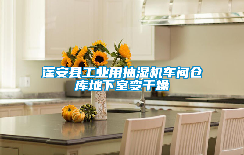 蓬安縣工業(yè)用抽濕機(jī)車間倉庫地下室變干燥