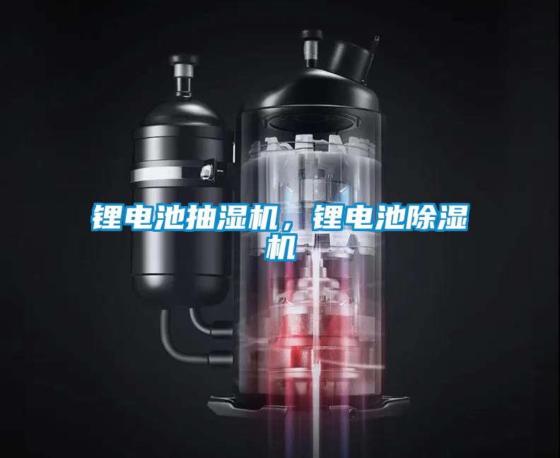 鋰電池抽濕機(jī),鋰電池除濕機(jī)