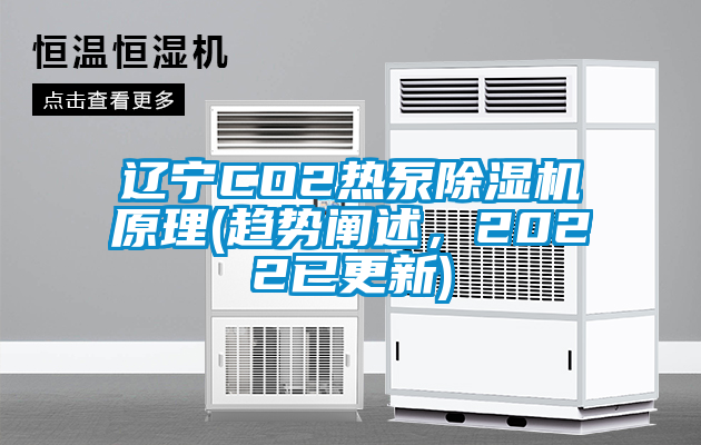 遼寧CO2熱泵除濕機原理(趨勢闡述，2022已更新)