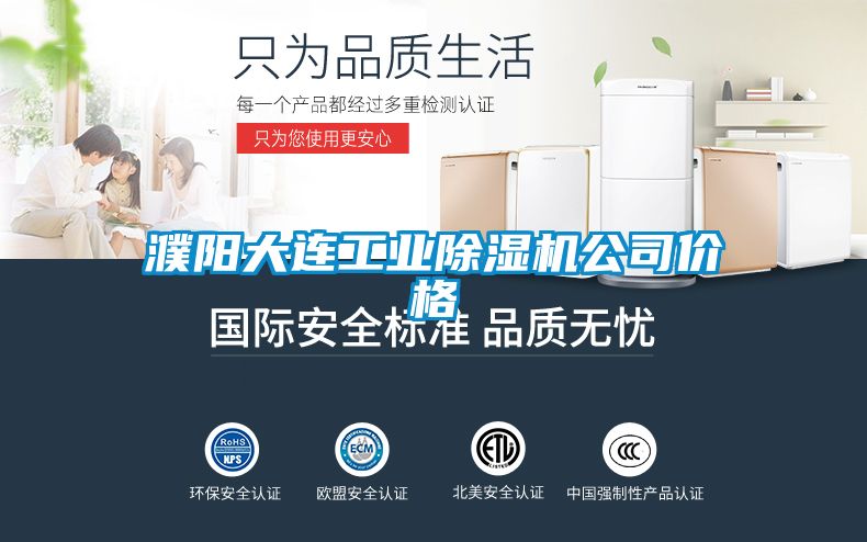 濮陽大連工業(yè)除濕機公司價格