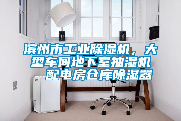 濱州市工業(yè)除濕機(jī)，大型車間地下室抽濕機(jī)  配電房倉(cāng)庫(kù)除濕器