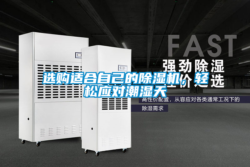 選購適合自己的除濕機(jī)，輕松應(yīng)對潮濕天