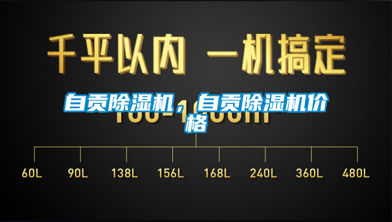 自貢除濕機，自貢除濕機價格