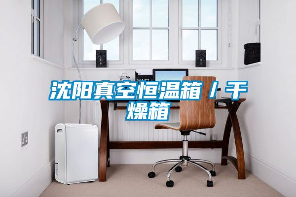 沈陽(yáng)真空恒溫箱/干燥箱