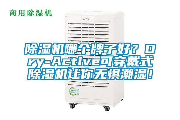 除濕機哪個牌子好？Dry-Active可穿戴式除濕機讓你無懼潮濕！