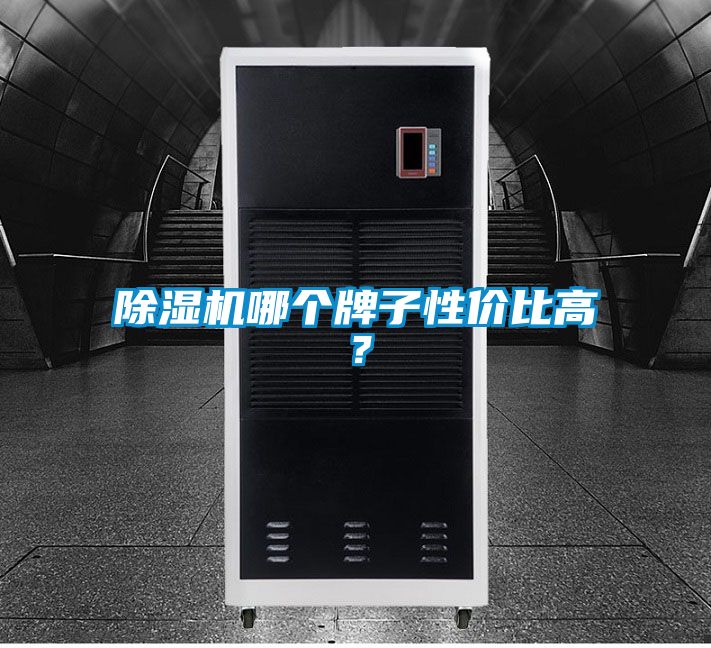 除濕機(jī)哪個(gè)牌子性價(jià)比高？