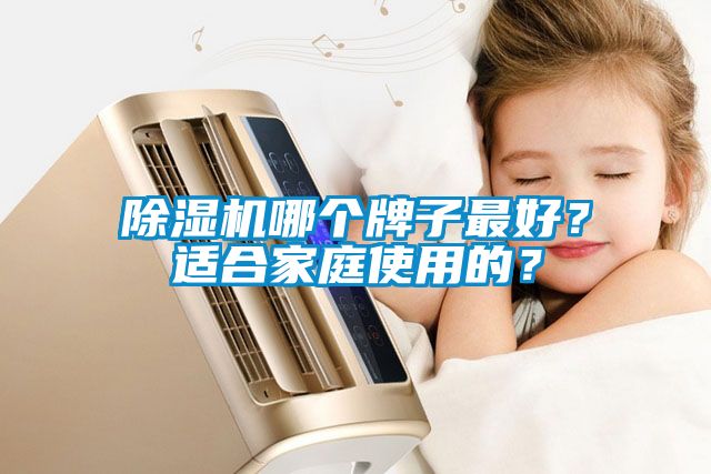 除濕機哪個牌子最好？適合家庭使用的？
