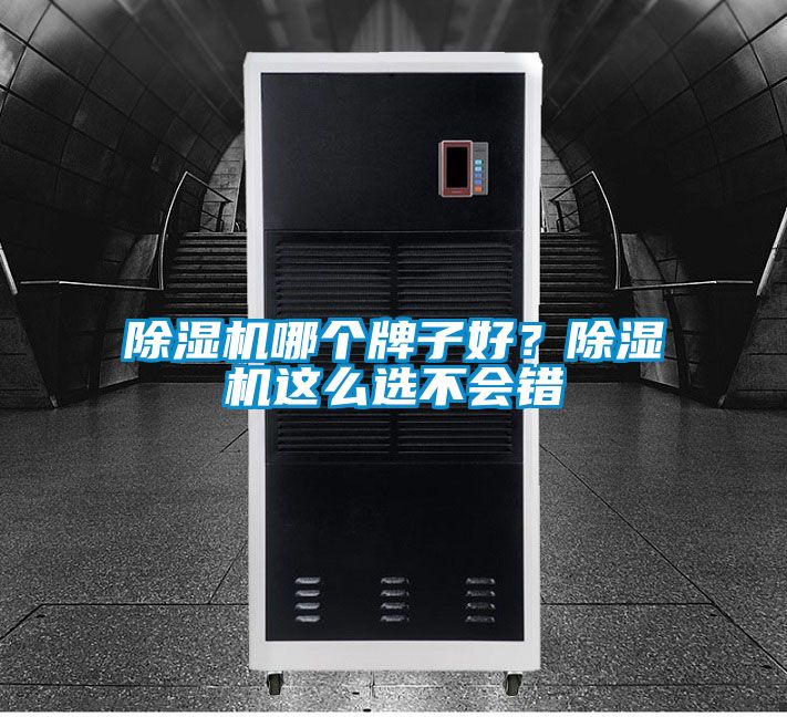 除濕機(jī)哪個牌子好?除濕機(jī)這么選不會錯