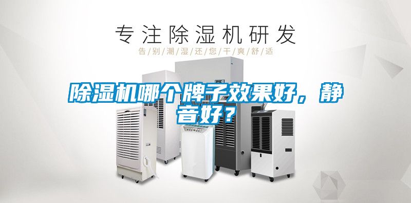 除濕機(jī)哪個(gè)牌子效果好，靜音好？