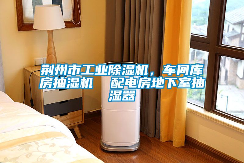 荊州市工業(yè)除濕機，車間庫房抽濕機  配電房地下室抽濕器