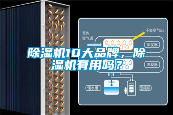 除濕機10大品牌，除濕機有用嗎？
