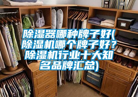 除濕器哪種牌子好(除濕機(jī)哪個(gè)牌子好？除濕機(jī)行業(yè)十大知名品牌匯總)