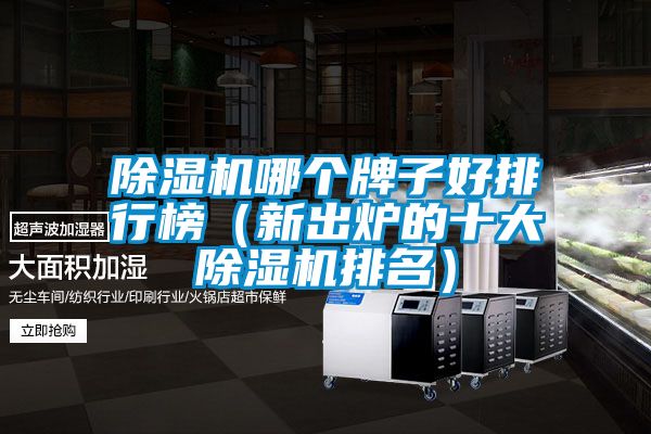 除濕機(jī)哪個(gè)牌子好排行榜(新出爐的十大除濕機(jī)排名)