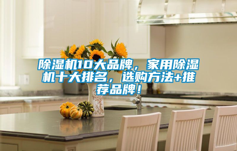 除濕機(jī)10大品牌，家用除濕機(jī)十大排名，選購(gòu)方法+推薦品牌！