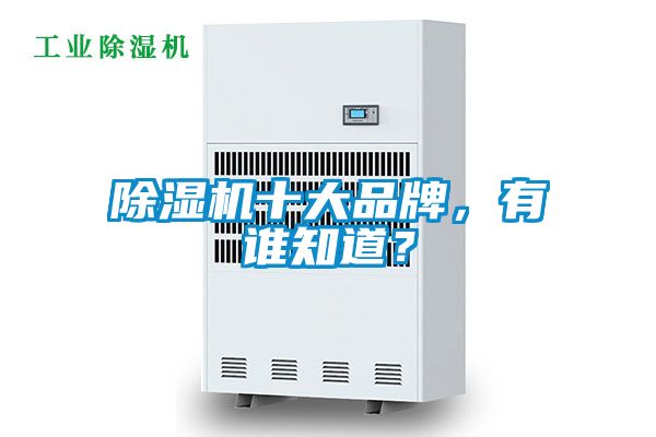除濕機十大品牌，有誰知道？
