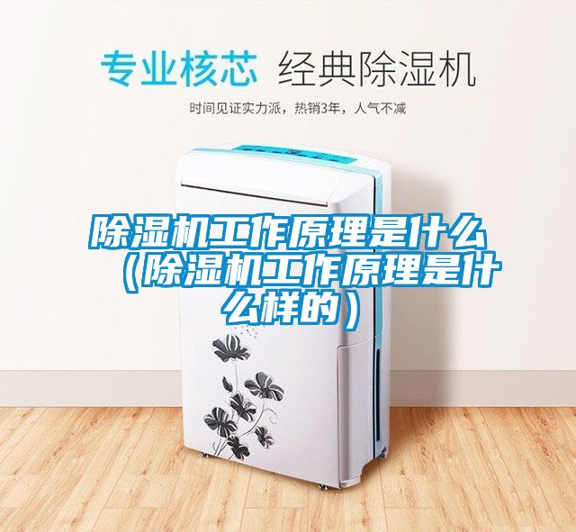 除濕機(jī)工作原理是什么（除濕機(jī)工作原理是什么樣的）