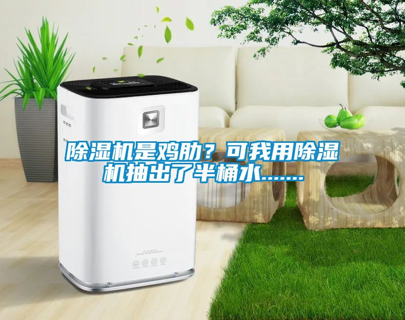 除濕機是雞肋？可我用除濕機抽出了半桶水.......