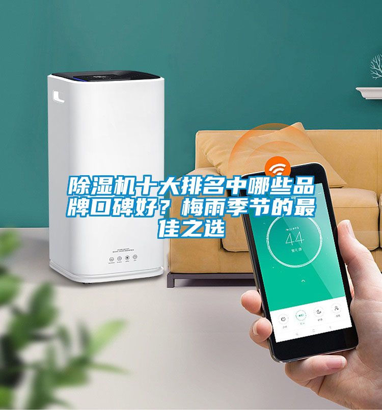 除濕機(jī)十大排名中哪些品牌口碑好？梅雨季節(jié)的最佳之選
