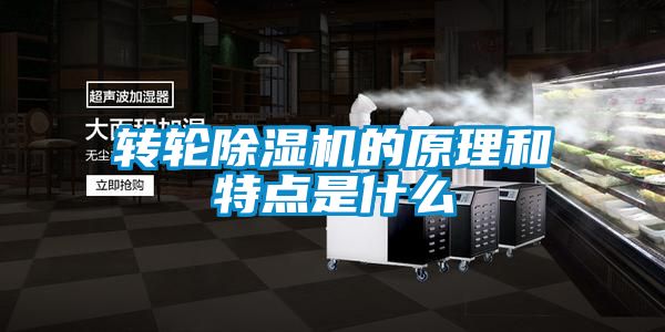 轉(zhuǎn)輪除濕機(jī)的原理和特點是什么
