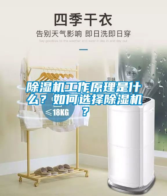 除濕機工作原理是什么？如何選擇除濕機？