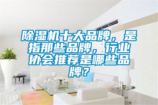 除濕機(jī)十大品牌，是指那些品牌，行業(yè)協(xié)會(huì)推薦是哪些品牌？