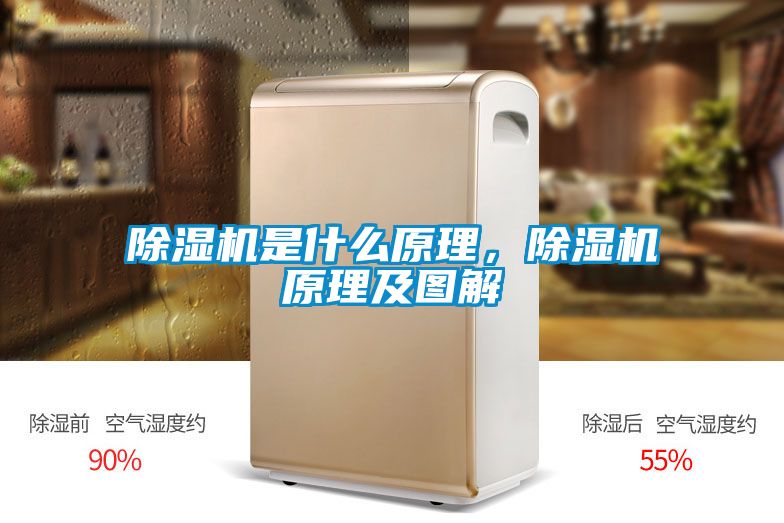 除濕機(jī)是什么原理，除濕機(jī)原理及圖解