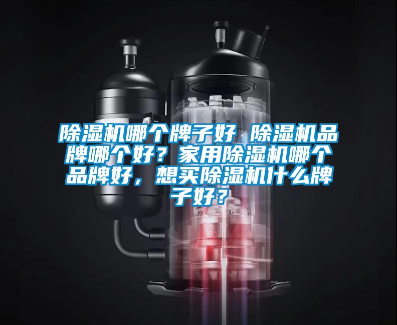 除濕機(jī)哪個(gè)牌子好 除濕機(jī)品牌哪個(gè)好？家用除濕機(jī)哪個(gè)品牌好，想買除濕機(jī)什么牌子好？