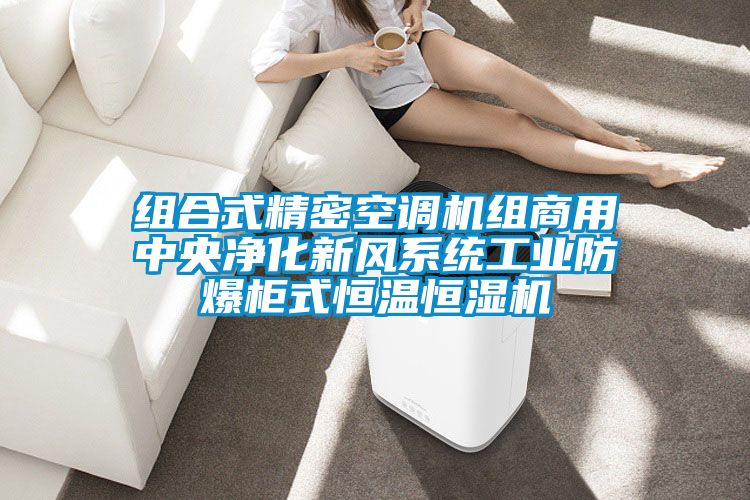 組合式精密空調(diào)機組商用中央凈化新風系統(tǒng)工業(yè)防爆柜式恒溫恒濕機