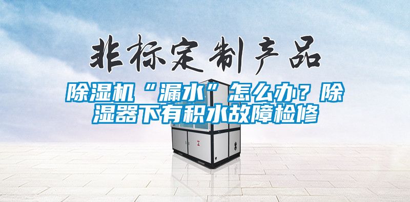 除濕機(jī)“漏水”怎么辦？除濕器下有積水故障檢修