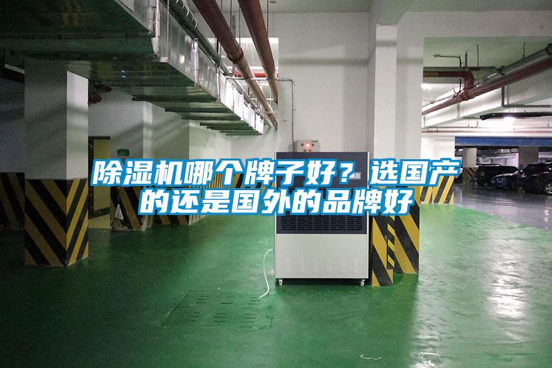 除濕機(jī)哪個牌子好？選國產(chǎn)的還是國外的品牌好