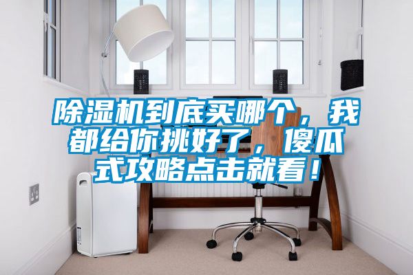 除濕機到底買哪個，我都給你挑好了，傻瓜式攻略點擊就看！