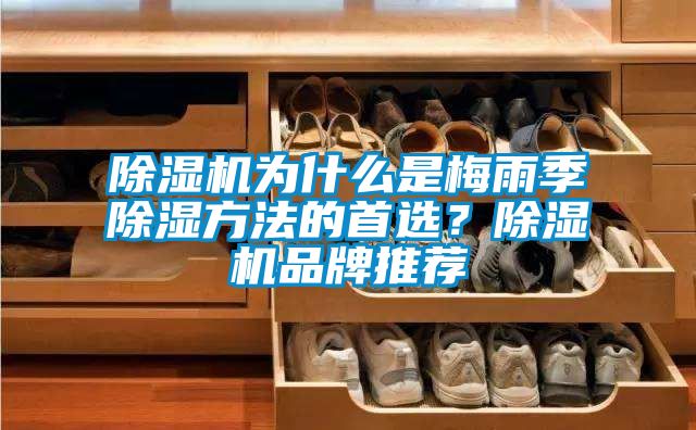 除濕機為什么是梅雨季除濕方法的首選？除濕機品牌推薦