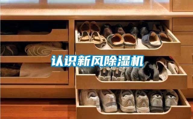 認識新風(fēng)除濕機