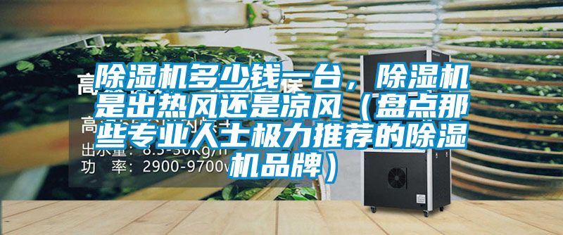 除濕機多少錢一臺，除濕機是出熱風(fēng)還是涼風(fēng)（盤點那些專業(yè)人士極力推薦的除濕機品牌）