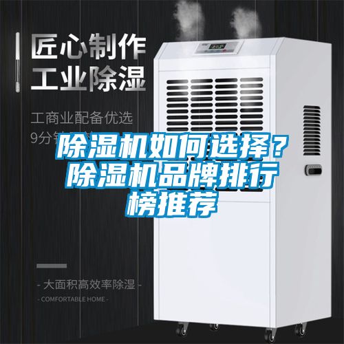 除濕機(jī)如何選擇？除濕機(jī)品牌排行榜推薦