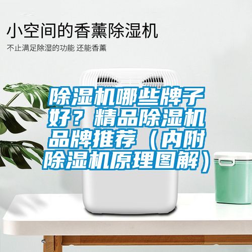 除濕機哪些牌子好？精品除濕機品牌推薦（內(nèi)附除濕機原理圖解）
