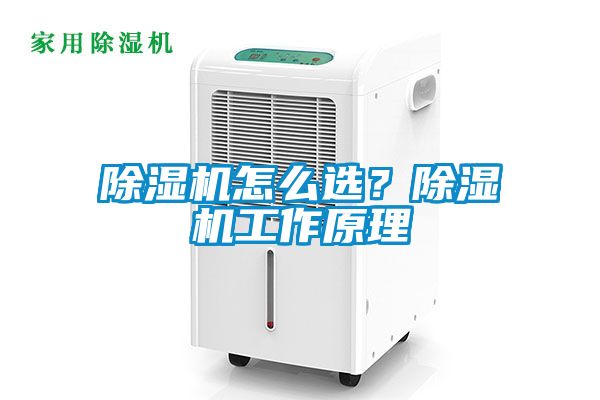 除濕機怎么選？除濕機工作原理