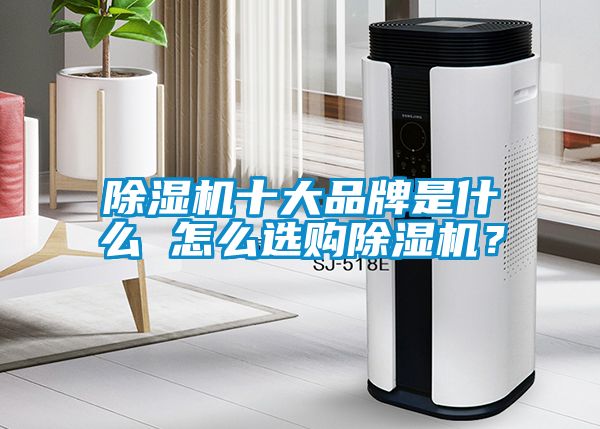 除濕機(jī)十大品牌是什么 怎么選購除濕機(jī)？