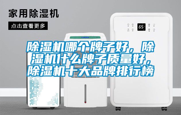 除濕機(jī)哪個(gè)牌子好，除濕機(jī)什么牌子質(zhì)量好，除濕機(jī)十大品牌排行榜