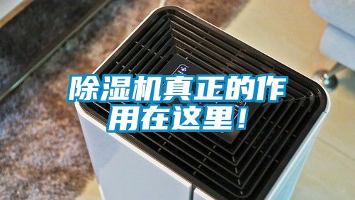 除濕機(jī)真正的作用在這里！