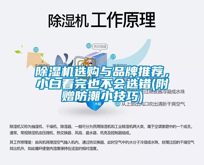 除濕機(jī)選購(gòu)與品牌推薦,小白看完也不會(huì)選錯(cuò)(附贈(zèng)防潮小技巧)