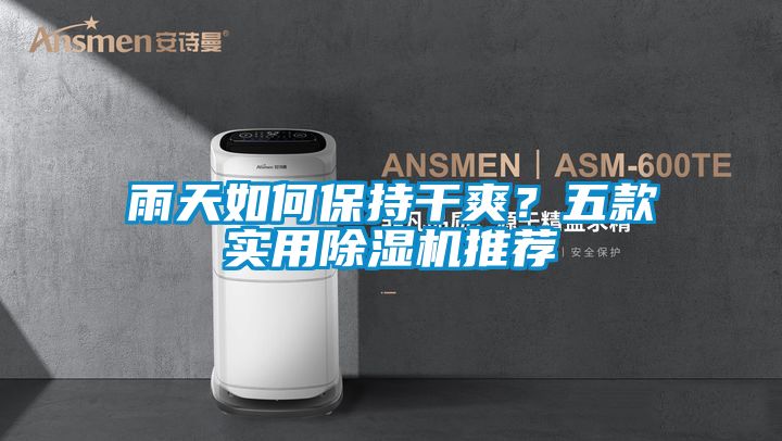 雨天如何保持干爽？五款實(shí)用除濕機(jī)推薦