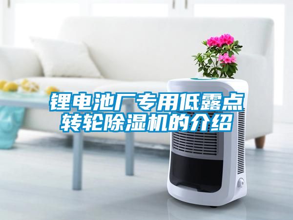鋰電池廠專用低露點轉(zhuǎn)輪除濕機的介紹
