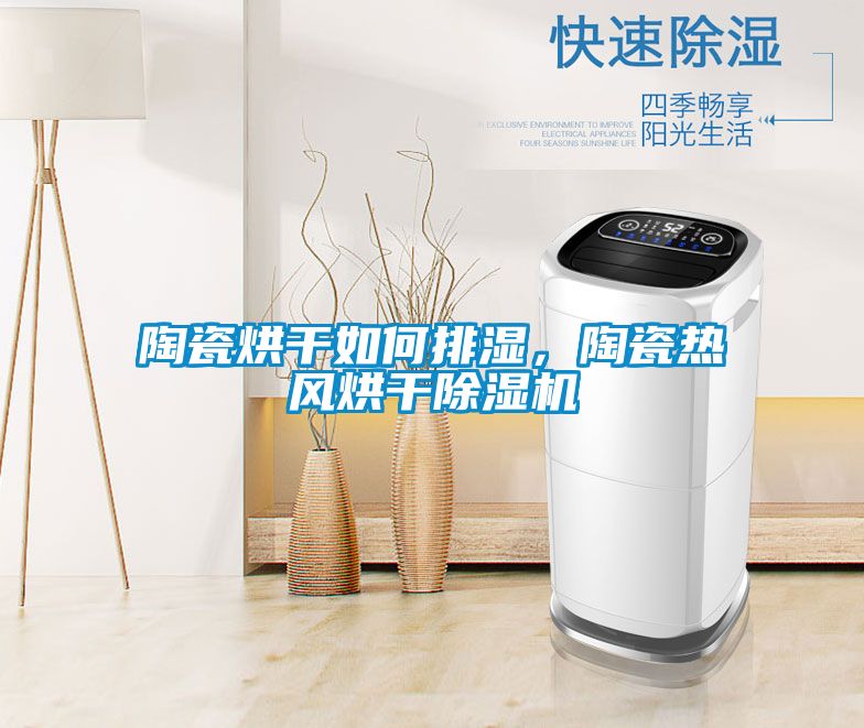 陶瓷烘干如何排濕,陶瓷熱風(fēng)烘干除濕機